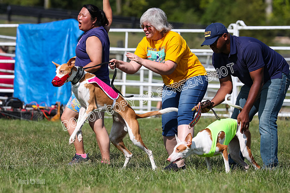 Open Prelim B2, Latte, Wizard-7848