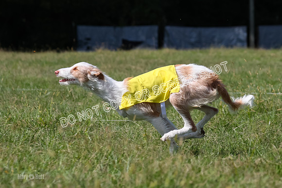 Open Prelim B3, Tavia, Birdie-7950