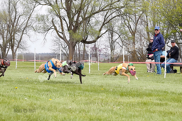 WRA, Prg 4, Race 4, Victor Picanha Stormy Terra Smudge-9331