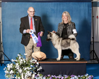 Elkhound 2020-1101