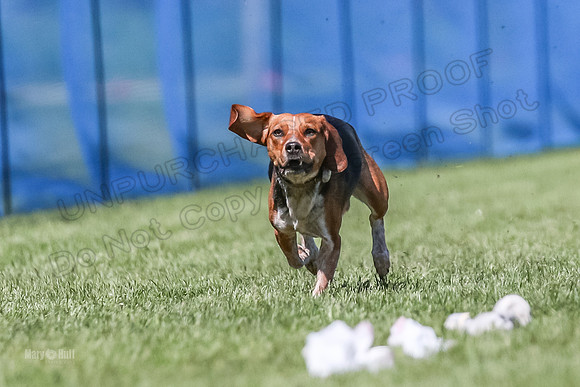 AE4I6350