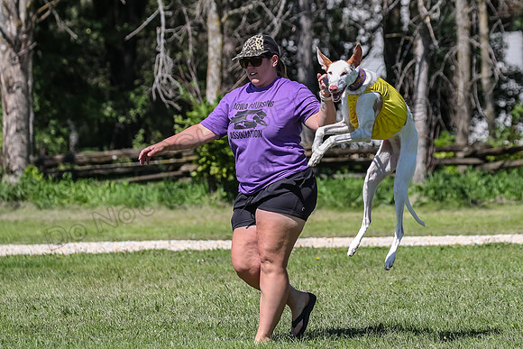 Finals Fch 1 Willow Penny Madyson-8225