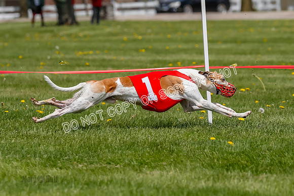 NOTRA Program 3, Race 5,Shakespeare Tsunami Bibi Kraken-2-16
