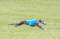 Prelim Specials A1, Booster Leo KinkyBoots-9613