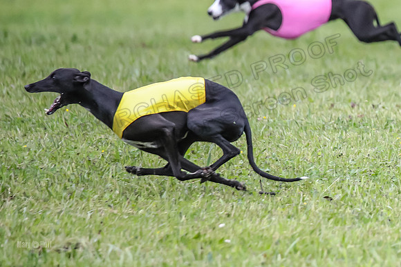 Prelim Open F5, Brinca Laila Storm-9380