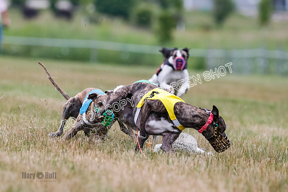 Prg 3, Race 5, Sid-Alex-Zed-Fama-Talim-1181