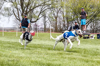 WRA, Prg 4, Race 2, Seeker Eddie Watson Clyps Pandy Barley-9299