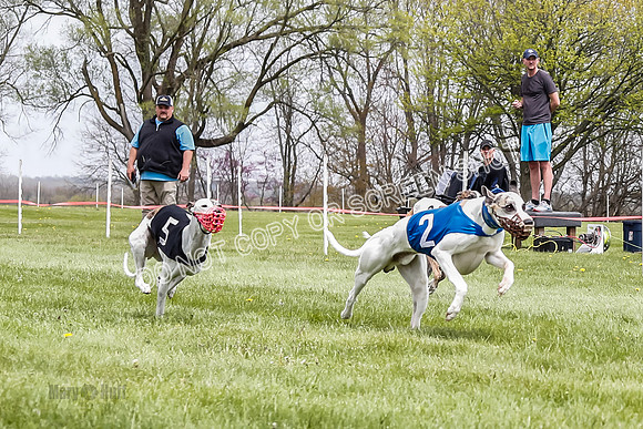 WRA, Prg 4, Race 2, Seeker Eddie Watson Clyps Pandy Barley-9299