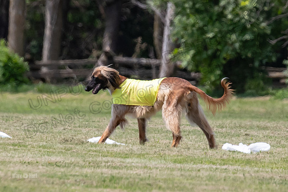 Finals Navi Khan-9847