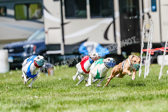 NOTRA Program 3, Race 3, Eddie Elvis Picanha Coyote-2-6
