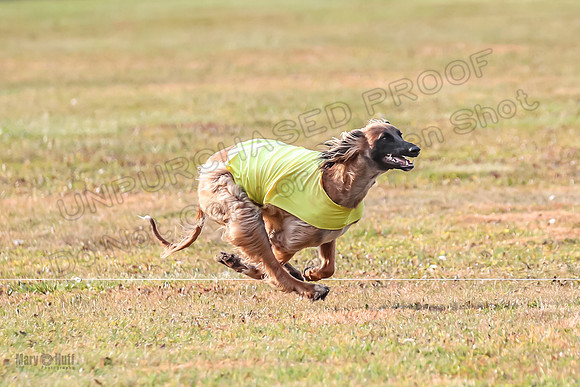 1 Prelims Open NaVi Khan AE4I0538
