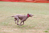 IMG_9677