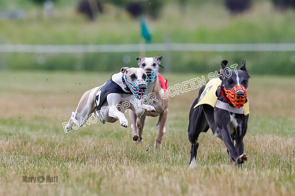 Prg 3, Race 4, Rowan-Jett-Blaze-Shimmy-Bogie-1132