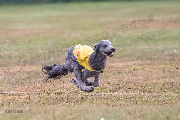 1 Prelims Pepper-1886