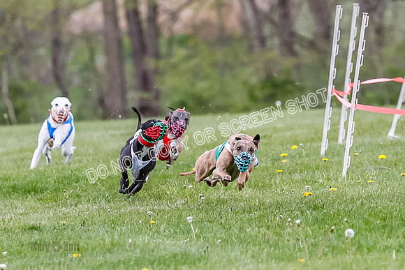 NOTRA Program 2, Race 1, Warrior Barley Flair Press-2-2
