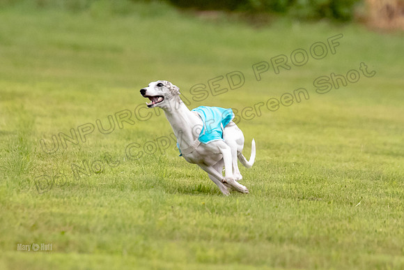 Prelims Misty-0634