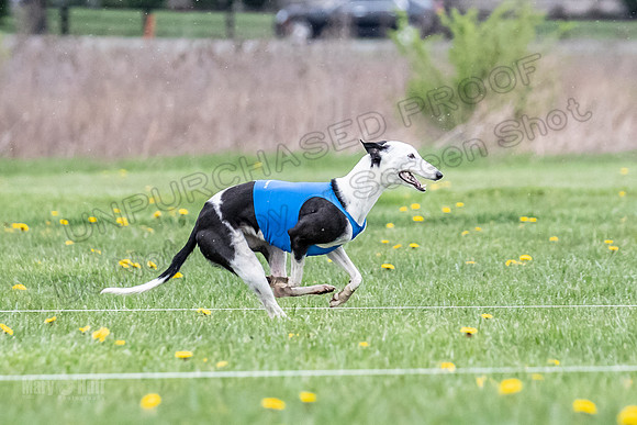 Finals Open E2 Misty EllieMae Encore-8909