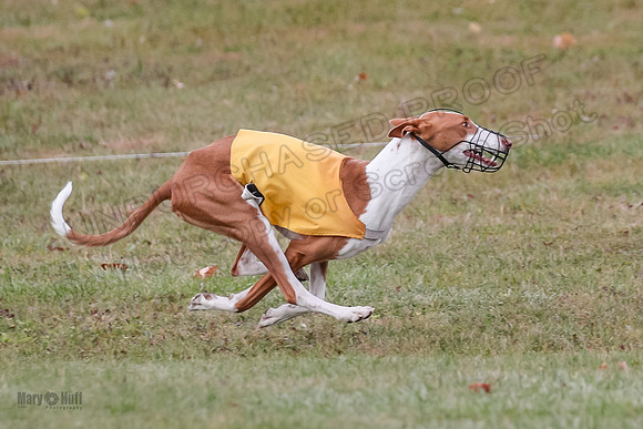 1 Prelims Fch 2 Madyson Maverick-5827