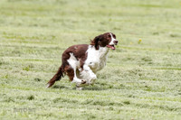Sadie & Maxie-photos