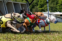 Program 4, Race 3