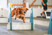 AE4I6120