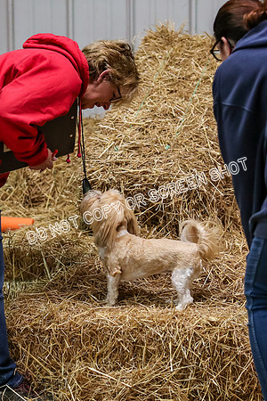 AE4I0795