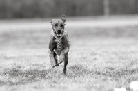 _E4I3992-2