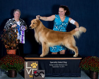 Select Dog -Show 1, Saturday