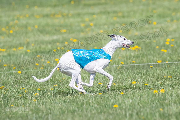1Prelims Veterans 1 Rosa Marley Luna-1634