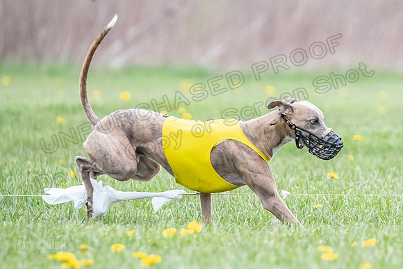 Finals Fch A4 Finely Carrie-9331