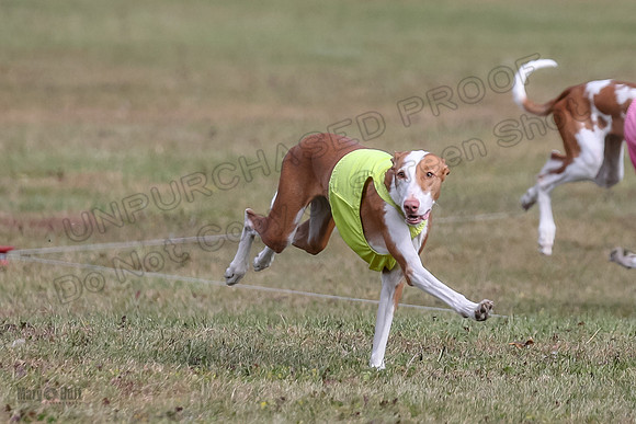 Finals Fch 1 Beastie Jadis Ginny-7903
