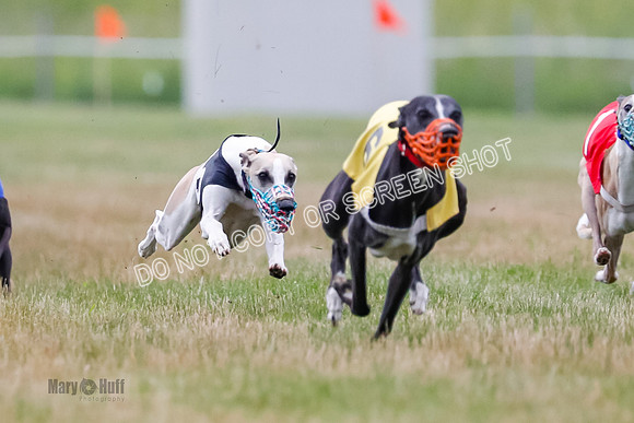 Prg 3, Race 4, Rowan-Jett-Blaze-Shimmy-Bogie-1125