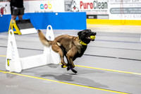 AE4I2667