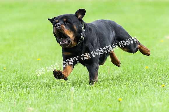 MCH78602