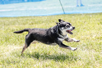 _E4I2281