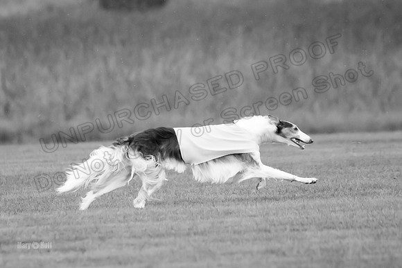 Open Prelim Bluegene Rhett Zen-0492-2