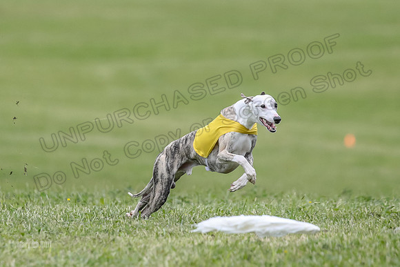 Finals Open C4, Ripley Prim Synner-0756