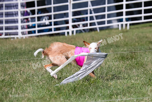 Open Prelim A2, Madyson, Razz-7650