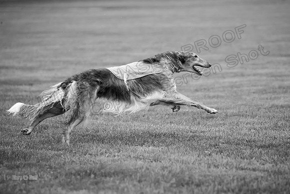 Open Prelim Bluegene Rhett Zen-0510-2