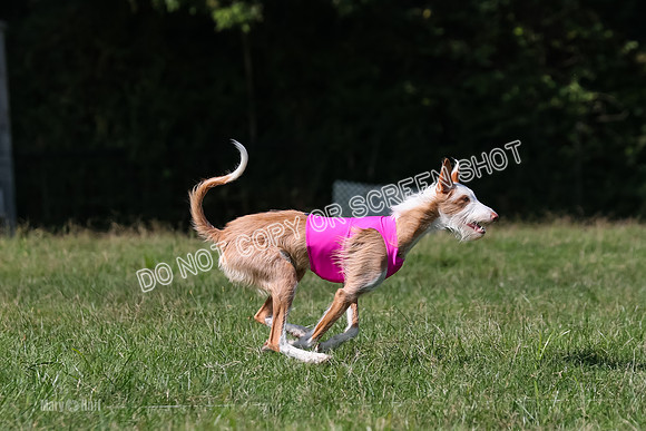 Open Prelim A2, Madyson, Razz-7645