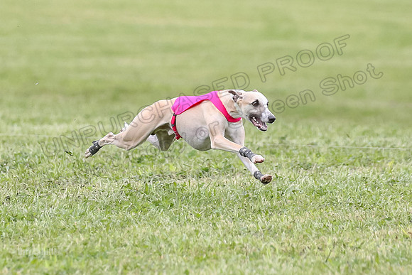 Finals Open C5, Mizuno Charlie Arlo-0794