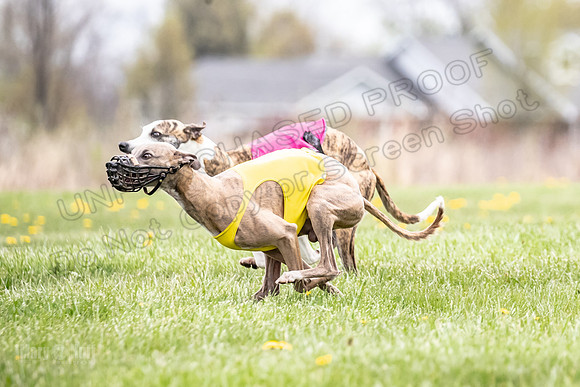 Finals Fch A4 Finely Carrie-9298