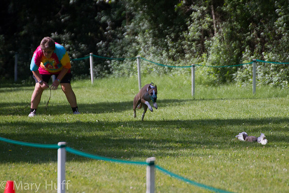 IMG_5062
