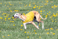 1Prelims Veterans 1 Rosa Marley Luna-1614