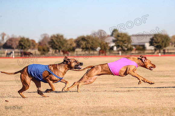 1Prelims Spec 1 Ash Zoey Zanna-9638