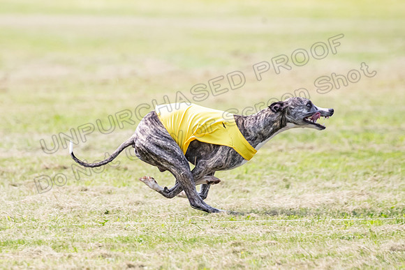 prelims Fch-Vet Arrow Wilson-7626