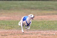1 Prelims Open 1 AnnieOakley Fennec Zero-1209