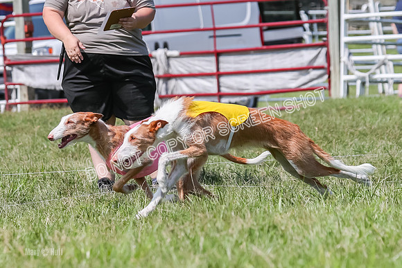 Prelim, Veteran 1, Dobby, Pepper-8791