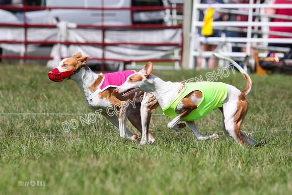 Open Prelim B2, Latte, Wizard-7857