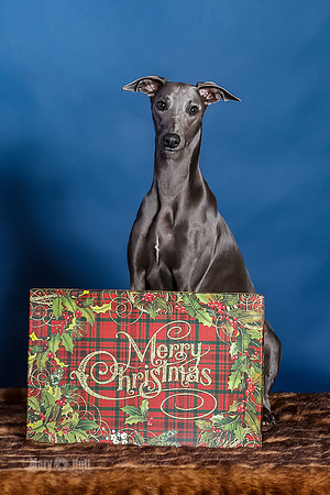 xmas Kristy-447-Edit